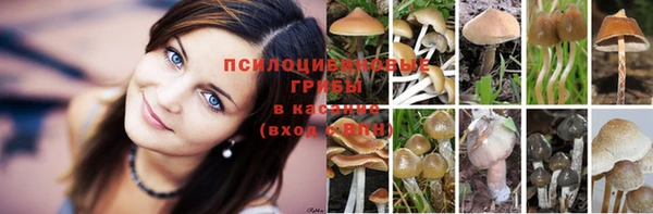 гашишное масло Зерноград