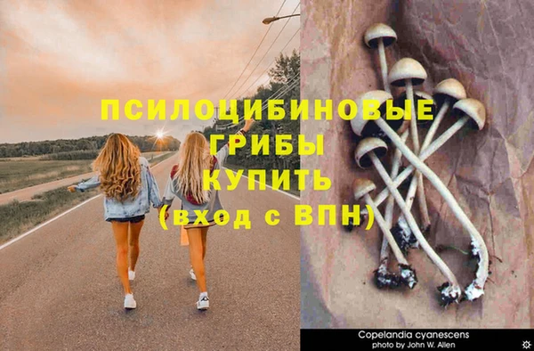 прущие крисы Зеленодольск