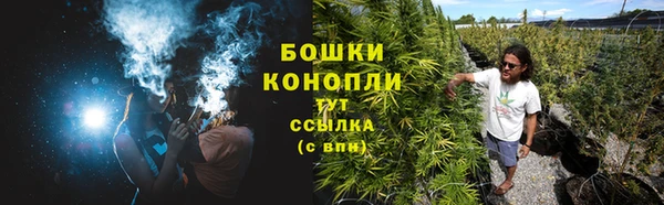 прущие крисы Зеленодольск
